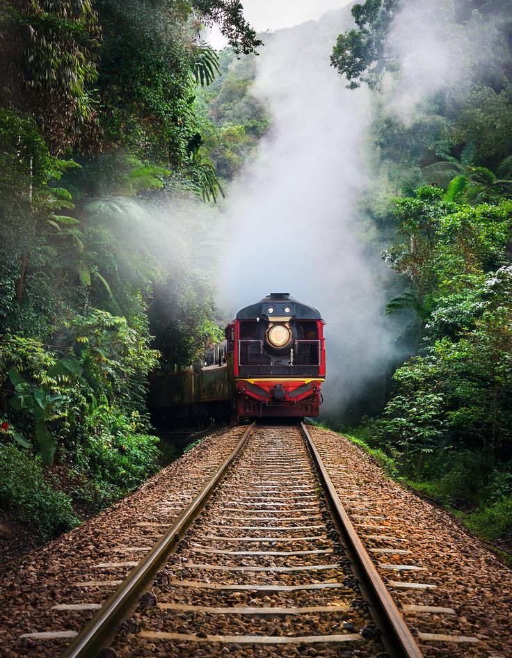 GANGTOK & DARJEELING